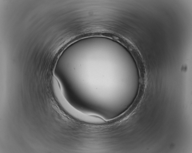 X0000115020873200911091440
