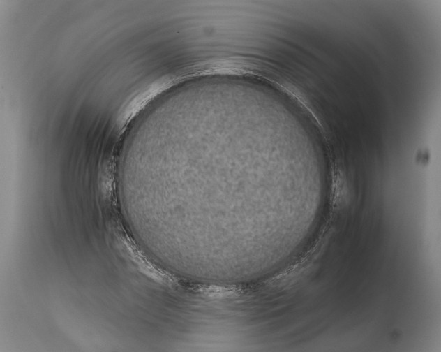 X0000115020874200911091440