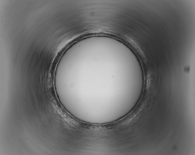 X0000115020876200911091440