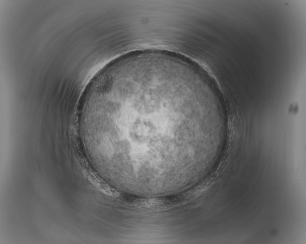 X0000115020879200911091440