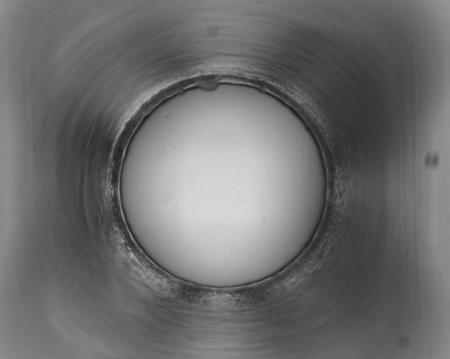 X0000115020880200911091440