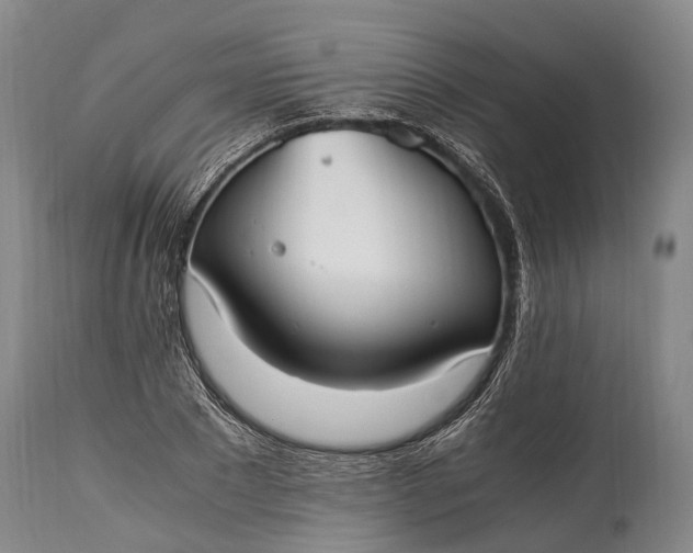 X0000115020881200911091440