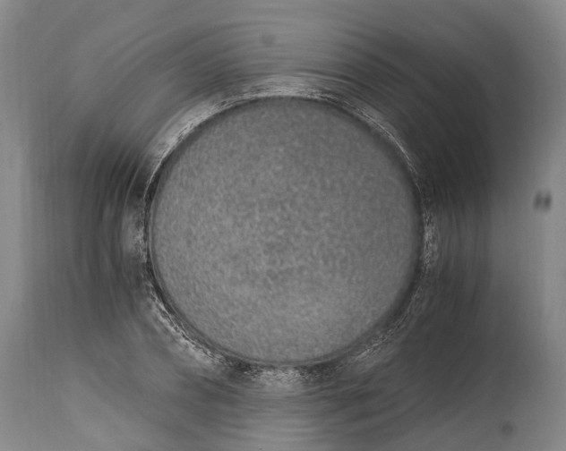 X0000115020882200911091440