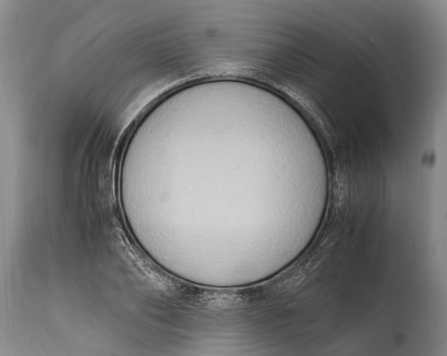 X0000115020886200911091440