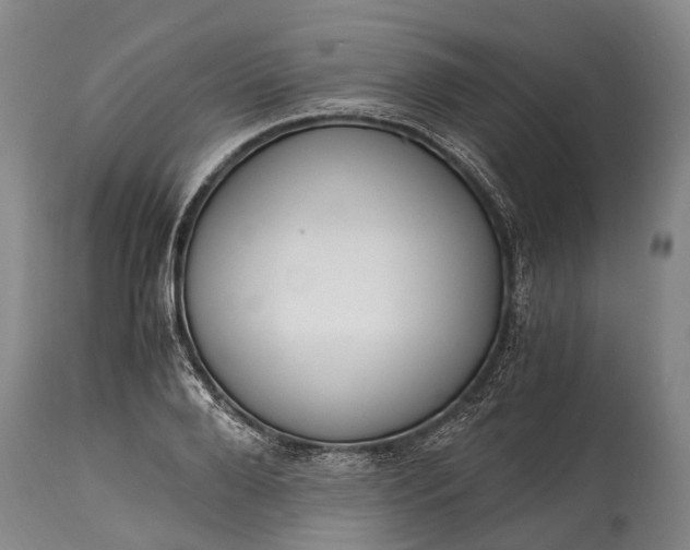 X0000115020888200911091440