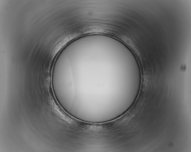X0000115020890200911091440
