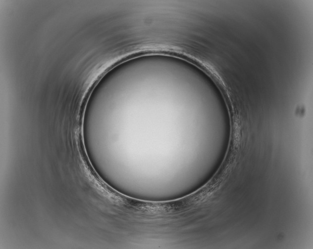 X0000115020895200911091440