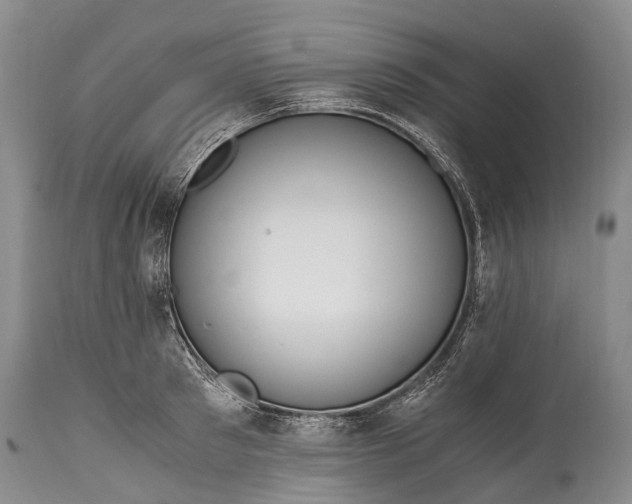 X0000115020897200911091440