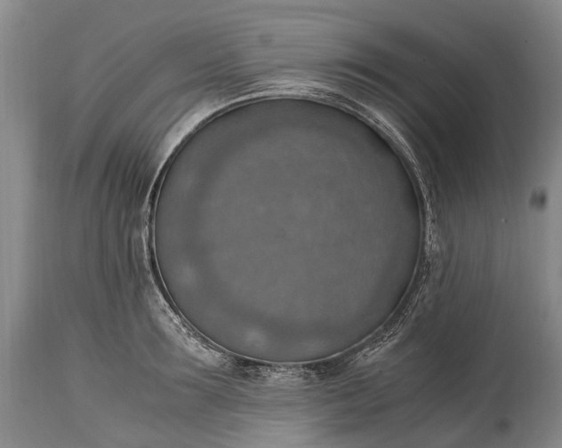 X0000115020899200911091440