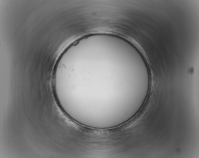 X0000115020901200911091440