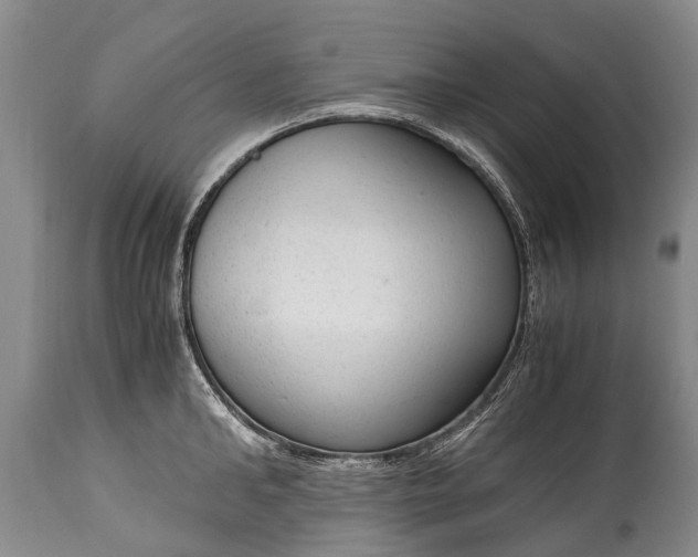 X0000115020902200911091440