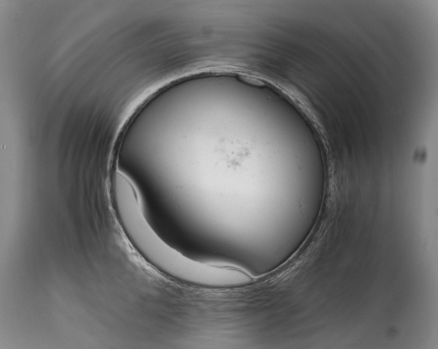X0000115020904200911091440