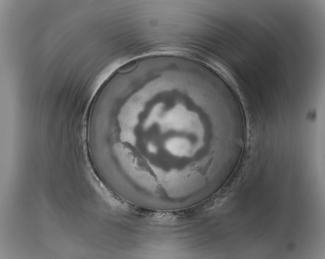X0000115020907200911091440