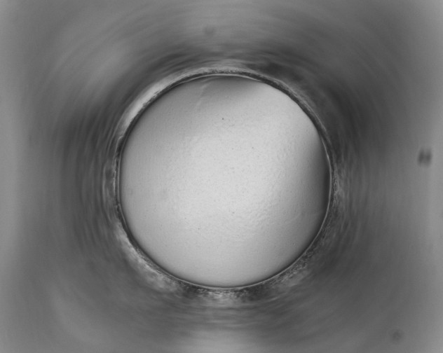 X0000115020911200911091440