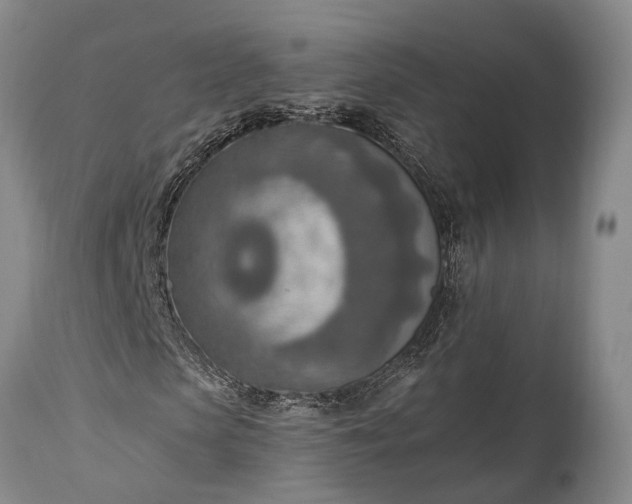 X0000115020913200911091439