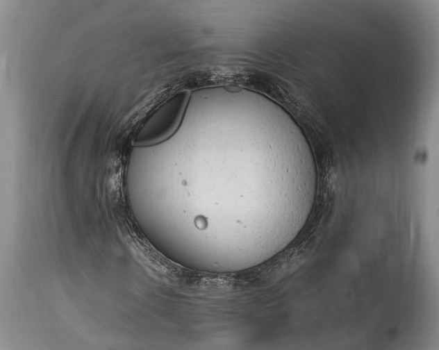 X0000115020914200911091439