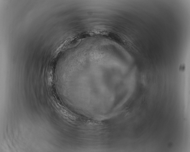 X0000115020915200911091439
