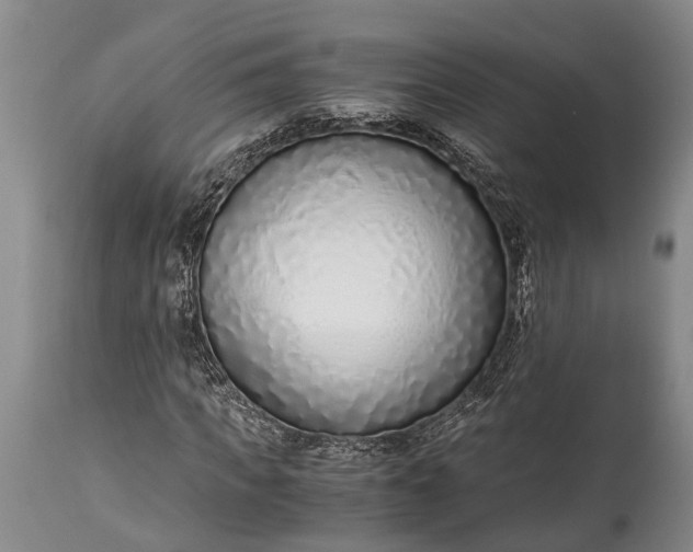 X0000115020917200911091439