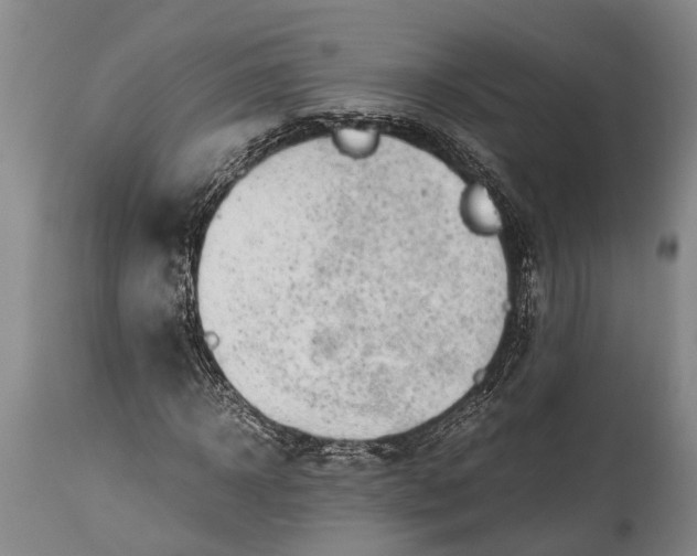 X0000115020918200911091439