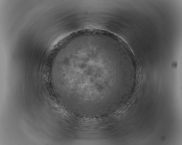 X0000115020919200911091439