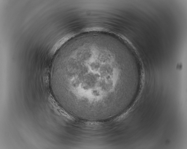 X0000115020921200911091439
