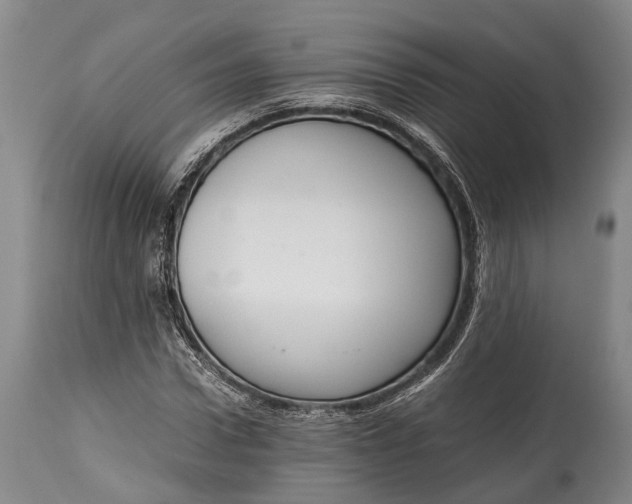 X0000115020922200911091439