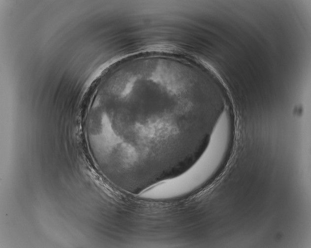 X0000115020923200911091439
