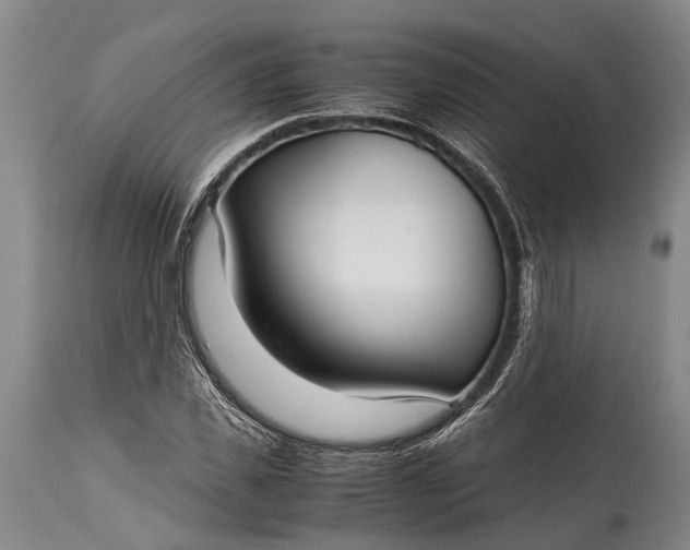 X0000115020925200911091439