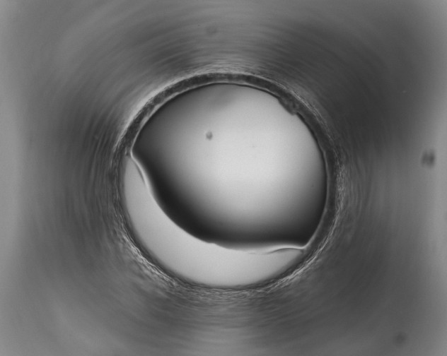 X0000115020926200911091439