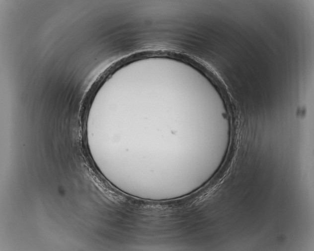 X0000115020927200911091439