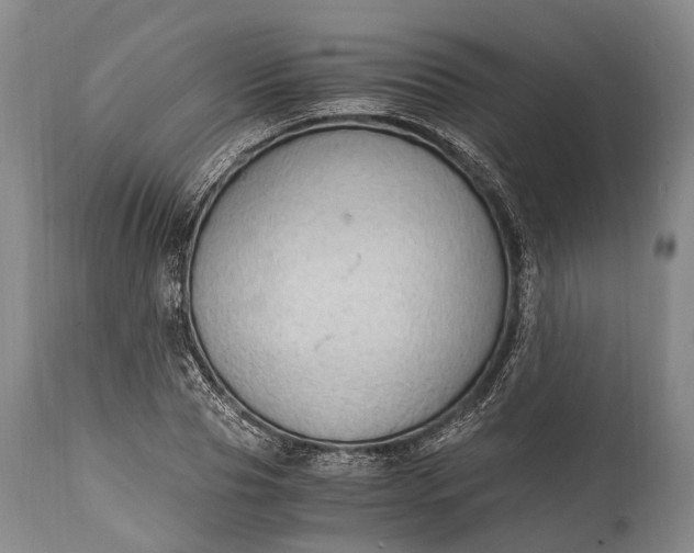 X0000115020929200911091439