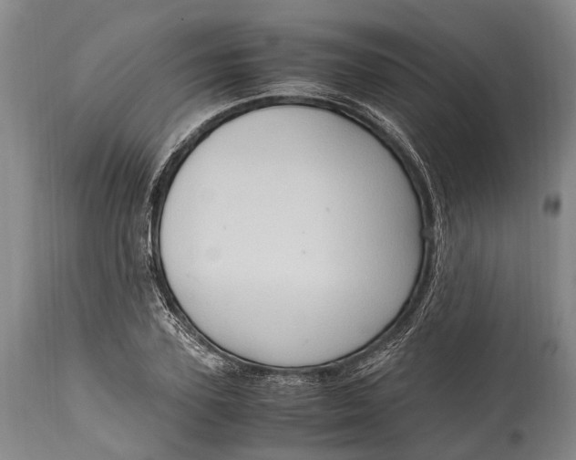 X0000115020931200911091439