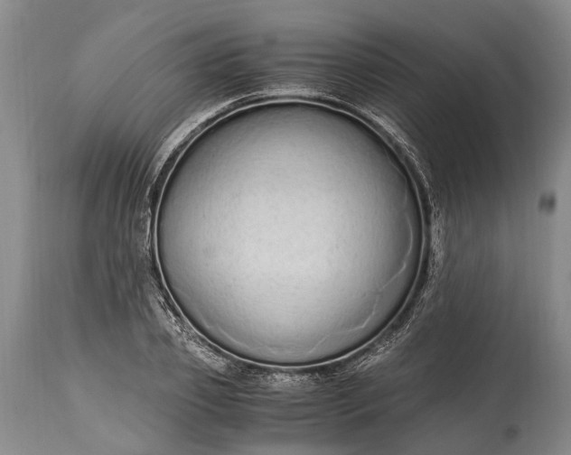 X0000115020933200911091439