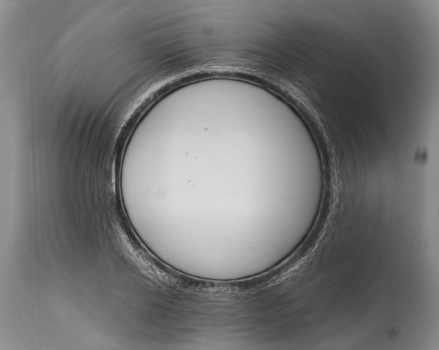 X0000115020934200911091439