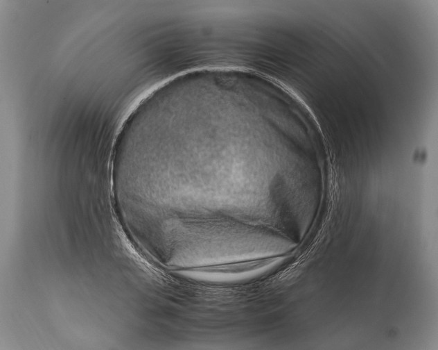X0000115020935200911091439