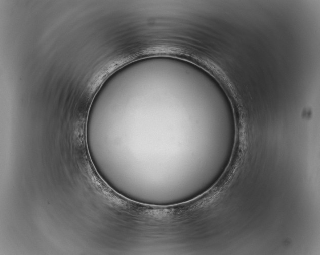 X0000115020937200911091439