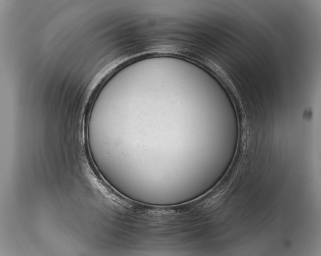 X0000115020939200911091439