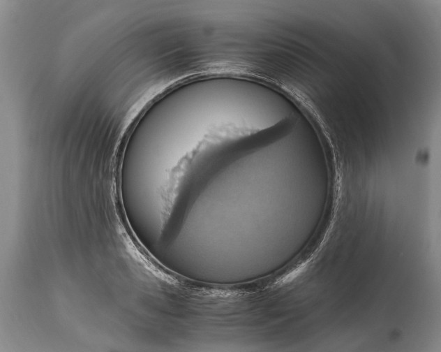 X0000115020941200911091439