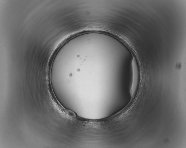 X0000115020942200911091439
