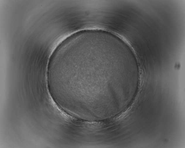 X0000115020943200911091439