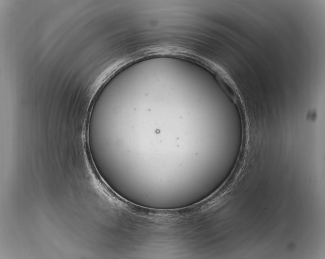 X0000115020946200911091439