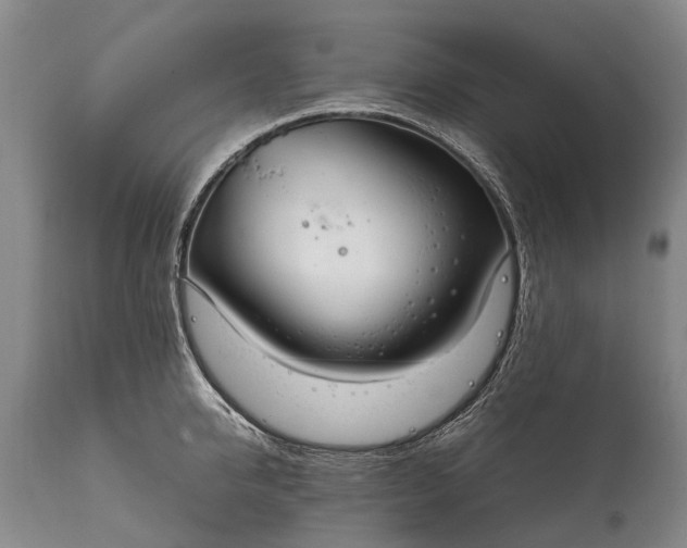 X0000115020950200911091440