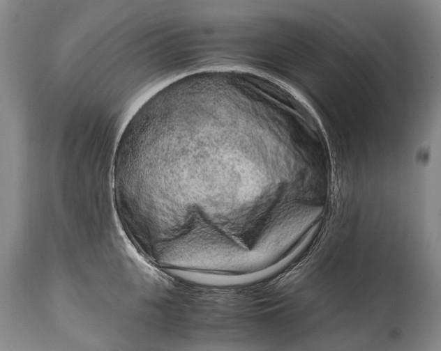 X0000115020951200911091440