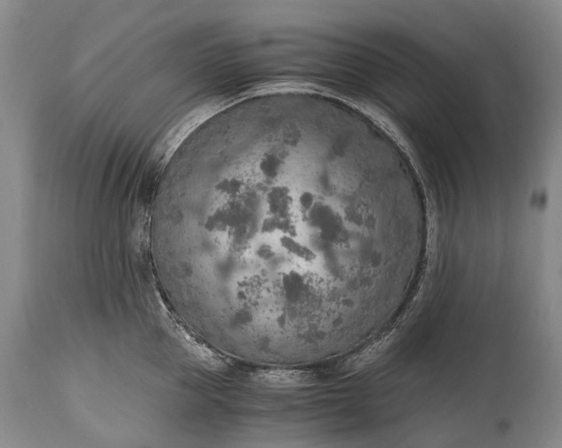 X0000115020953200911091440