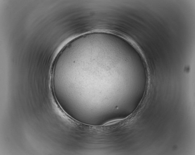 X0000115020955200911091440