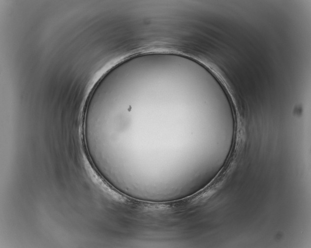 X0000115020957200911091440