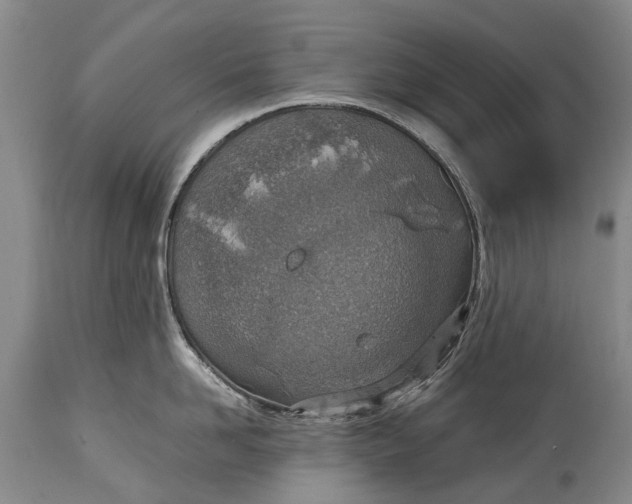 X0000115020958200911091440