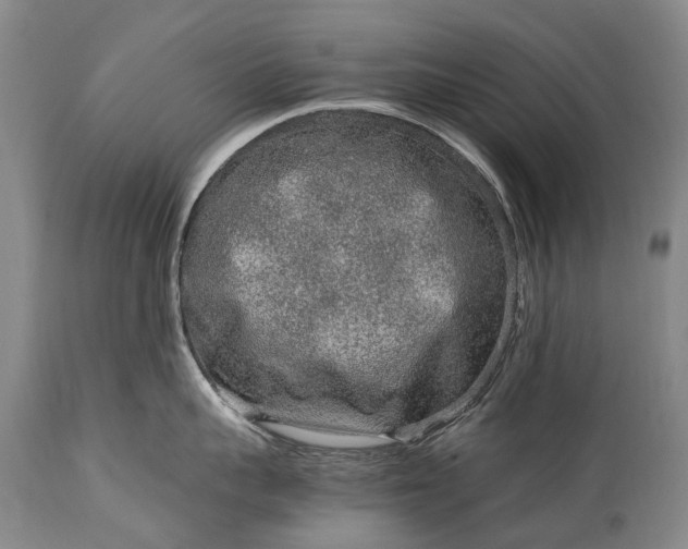 X0000115020959200911091440