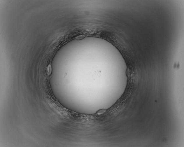 X0000115020961200911091439