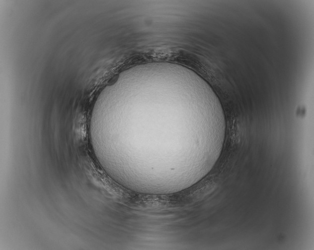 X0000115020962200911091439